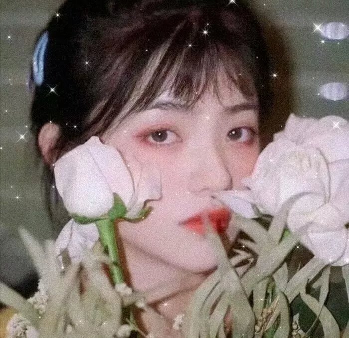 噗通噗通的夏天